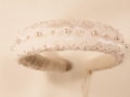 Diadem-33.jpg