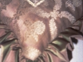 Private Clients38