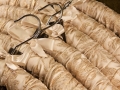 White-Hangers-2W
